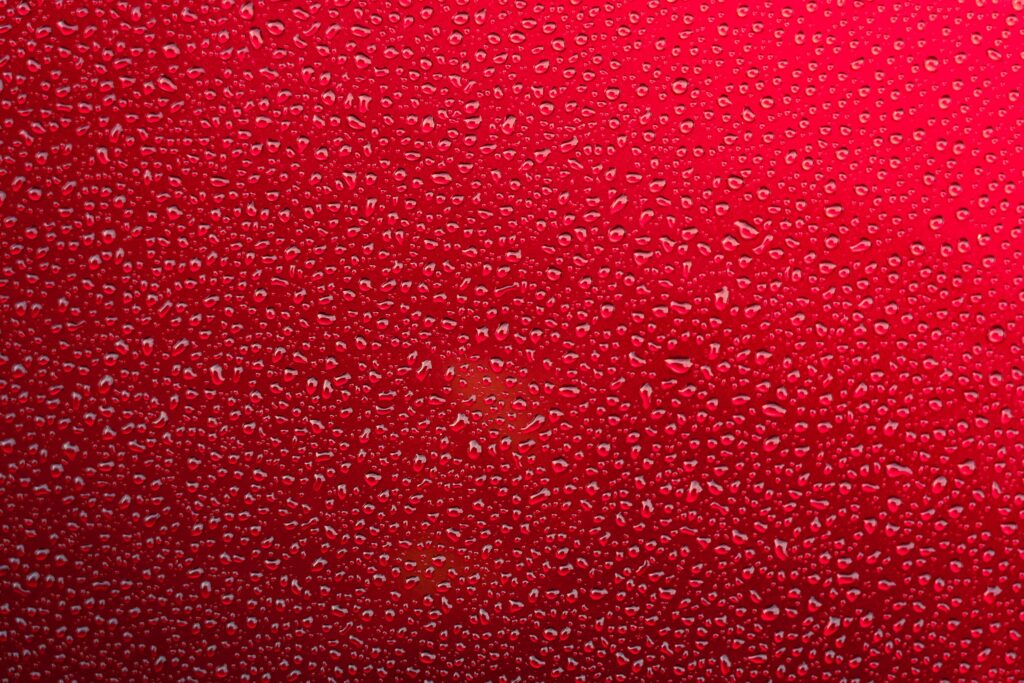 nick fewings wss61gstdie unsplash