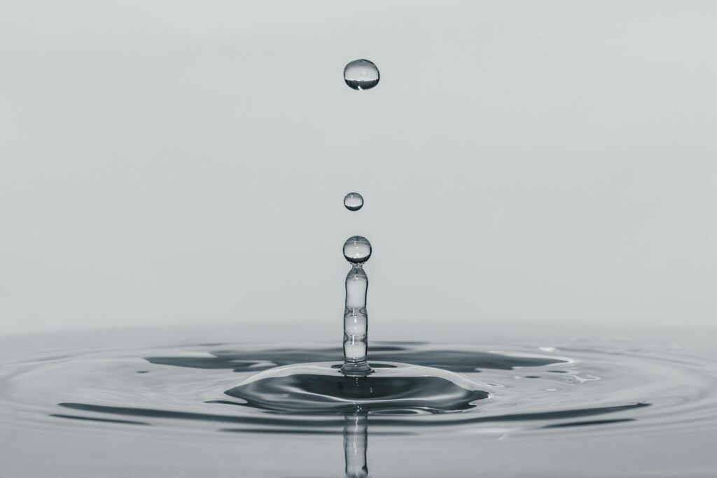 cesar couto uebffapwuj8 unsplash