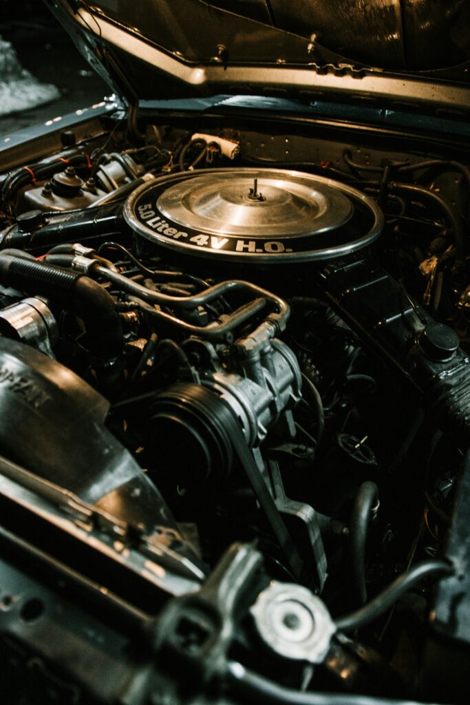 jakob rosen 6tylbu3pe6m unsplash